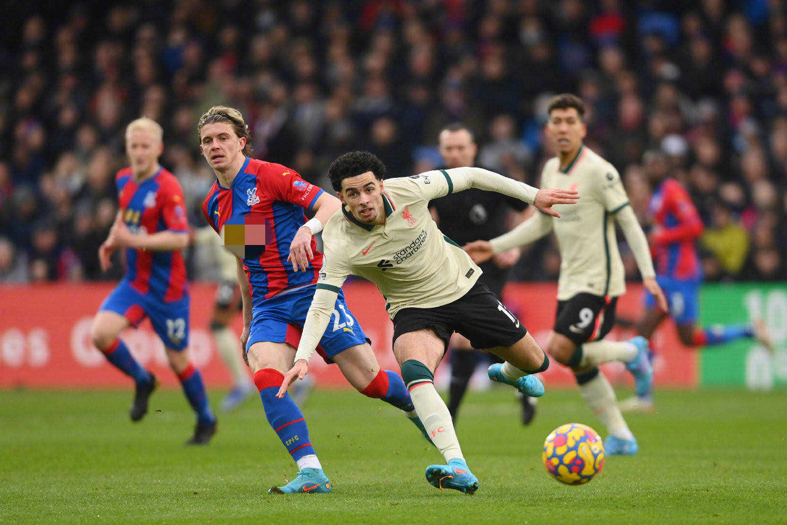 还因为他能 还因为他能